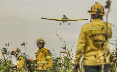 Corumbá (MS), 29/06/2024 - Com o auxílio de aviões, brigadistas do Prevfogo/Ibama combatem incêndios florestais no Pantanal. Foto: Marcelo Camargo/Agência Brasil