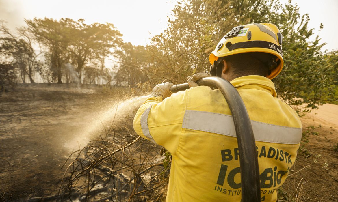 Porto Jofre (MT) 17/11/2023 – Brigadistas do ICMBIO fazendo resfriamento do fogo, durante incêndio florestal que atige o Pantanal. Foto: Joédson Alves/Agência Brasil