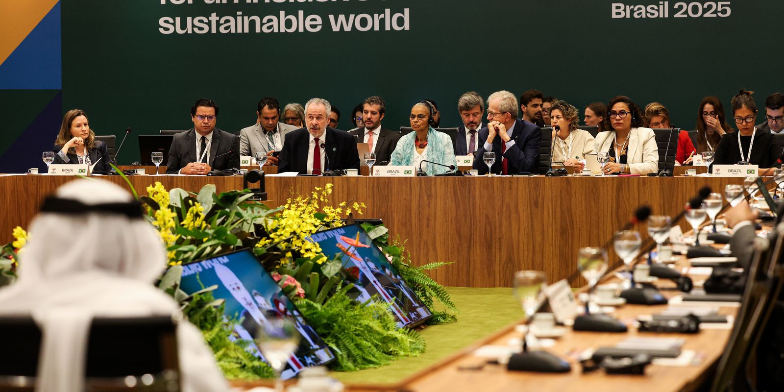 Ministros de Meio Ambiente do Brics se reúnem em Brasília