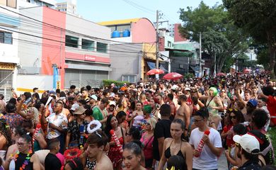 São Paulo (SP), 02/03/2025 - Bloco carnavalesco Os Piores desfila na rua Rui Barbosa, em Bela Vista. Foto: Rovena Rosa/Agência Brasil
