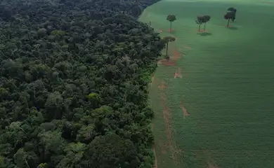 Brasnorte (MT), 09/04/2025 – Vista aérea do encontro da Floresta Amazônica com lavouras de milho e soja, na margem da Terra Indígena Erikpatsa, onde vive o Povo Rikbaktsa. Foto: Fernando Frazão/Agência Brasil