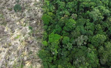 DESMATAMENTO AMAZONIA - FILE PHOTO: An aerial view shows a deforested area during an operation to combat deforestation near Uruara, Para State, Brazil January 21, 2023. REUTERS/Ueslei Marcelino/File Photo