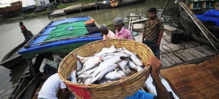 Mais de 90% dos pescadores em todo o mundo trabalham em pequenas empresas. ou de modo artesanal