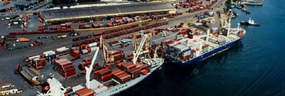 Greve de auditores da Anvisa afeta movimento de navios no Porto de Paranaguá