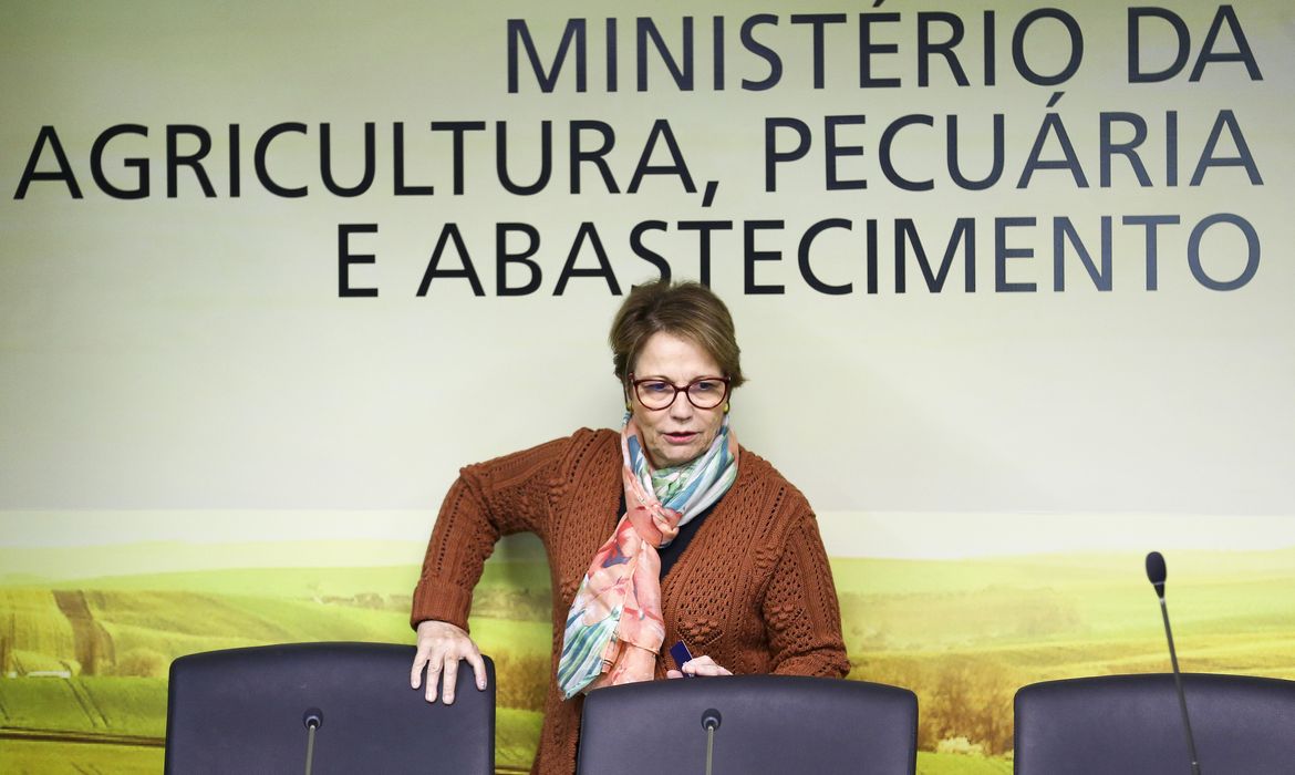  A ministra da Agricultura, Pecuária e Abastecimento, Tereza Cristina, durante café da manhã com jornalistas para esclarecer as novas regras para o uso de agrotóxicos no Brasil. 