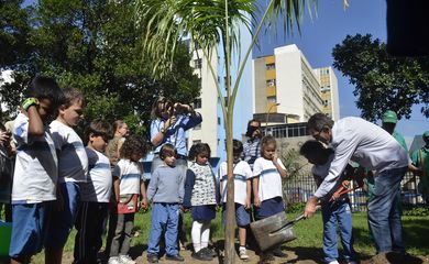 A Fundação Parques e Jardins,da Secretaria de Meio Ambiente, promove evento alusivo às comemorações da Semana Mundial do Meio Ambiente. Simbolizando a data plantam uma muda de palmeira imperial(Tânia Rêgo/Agência Brasil)