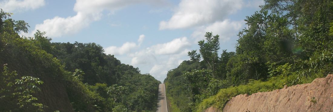 BR 174, que liga Manaus a Boa Vista