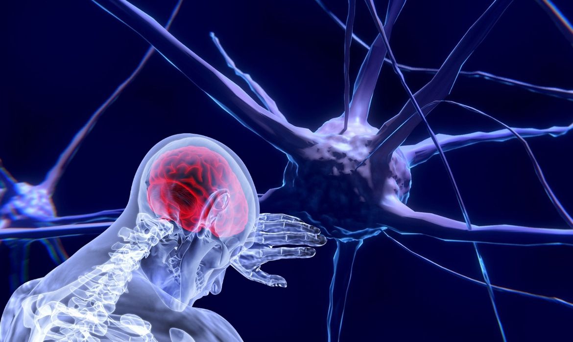 Neurotecnologia; neurociência; cérebro; tecnologia cerebral; saúde tecnológica; inteligência artificial. Foto: Sabine Zierer/ Pixabay