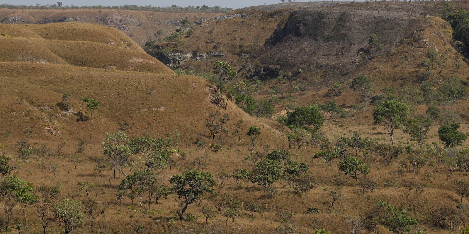 Cerrado podría superar a Amazonia en almacenamiento de carbono