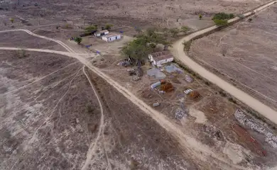 Desertificação no Brasil ameaça água, alimento, clima e biodiversidade