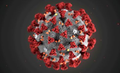 Ilustração criada pelo CDC para mostrar o novo coronavírus.