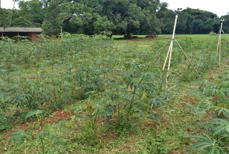 AgroBrasília apresenta inovações para agricultores do DF