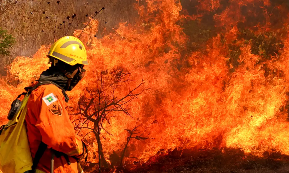 Brasília, DF 15-09-2024 Um Incendio atingiu o Parque Nacional de Brasília. Bombeiros e populares tentavam conter as chamas Foto: Fabio Rodrigues-Pozzebom