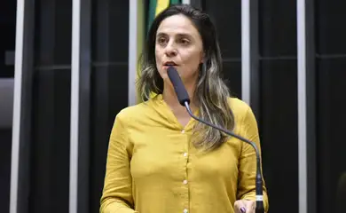Conselho de Ética da Câmara arquiva ação contra deputada Fernanda Melchionna (PSOL-RS). 