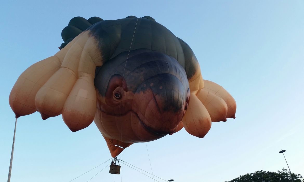 Não era um pássaro nem um avião. E o público que passeava no Aterro do Flamengo, zona sul do Rio de Janeiro, também não chegou a um consenso sobre o que era aquele enorme mamífero inflável que subiu nos céus à beira da Baía de Guanabara