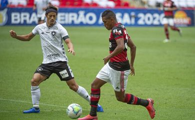 flamengo, botafogo, brasileiro, futebol, esportes, série a