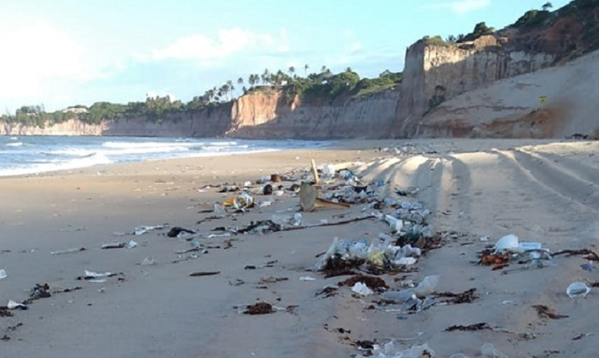 Nota Técnica do Idema-RN orienta prefeituras sobre interdição dos trechos das praias afetadas pelo lixo. 