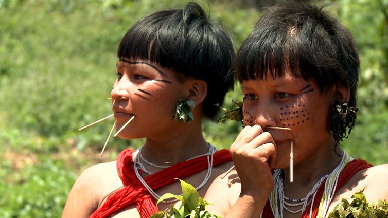 Amazonas state now has 17 official languages - Vimarsana News