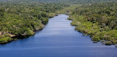 Amazônia 