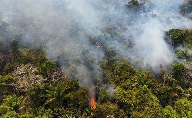 Uma imagem de drone mostra um incêndio na floresta na terra indígena Novo Paraíso, em Bonfim, Roraima, em 1º de março de 2024. REUTERS/Bruno Kelly