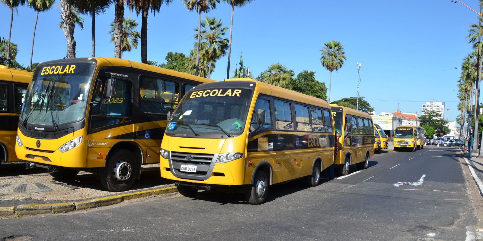 1ºs anos - Fund. I: Projeto Meios de transportes - Escola