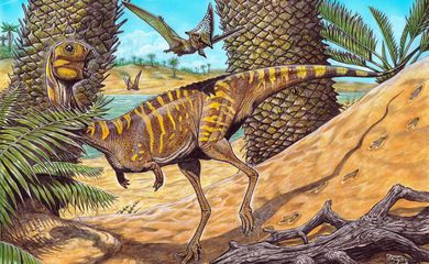 Museu Nacional anuncia descoberta de dinossauro muito raro




Berthasaura leopoldinae representa um dos esqueletos mais completos desses répteis descobertos no Brasil