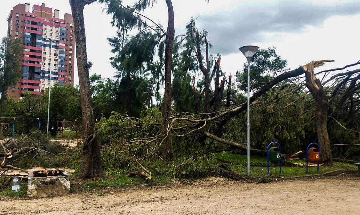 Porto Alegre - Após cinco dias de trabalho para recuperação dos estragos causados pelo temporal da última sexta-feira (29), alguns parques da cidade continuam devastados (Daniel Isaia/Agência Brasil)