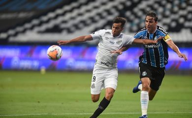 santos, grêmio, libertadores