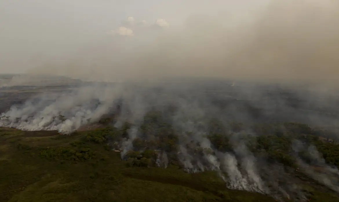 Porto Jofre (MT) 16/11/2023 –Brigadistas do ICMBIO combatem incêndio florestal que atinge o Pantanal Foto: Joédson Alves/Agência Brasil