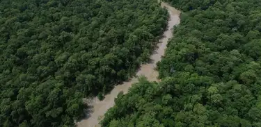 Amazônia
