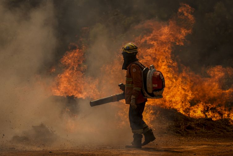 Brasília (DF), 24/08/2024 - Brigadistas do Instituto Brasília Ambiental e Bombeiros do Distrito Federal combatem incêndio em área de cerrado próxima ao aeroporto de Brasília. Foto: Marcelo Camargo/Agência Brasil