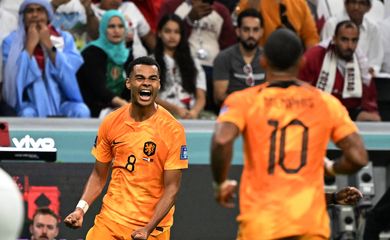 holanda, Copa do Catar, Copa 2022, Catar