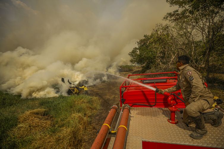 Porto Jofre (MT) 16/11/2023 –Brigadistas do ICMBIO combatem incêndio florestal que atinge o Pantanal.
Foto: Joédson Alves/Agência Brasil