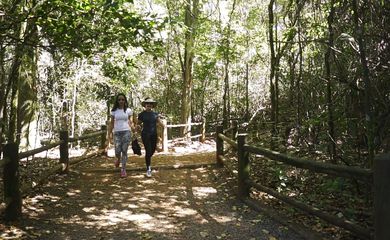Turistas e moradores fazem trilhas no Parque Nacional de Brasília
