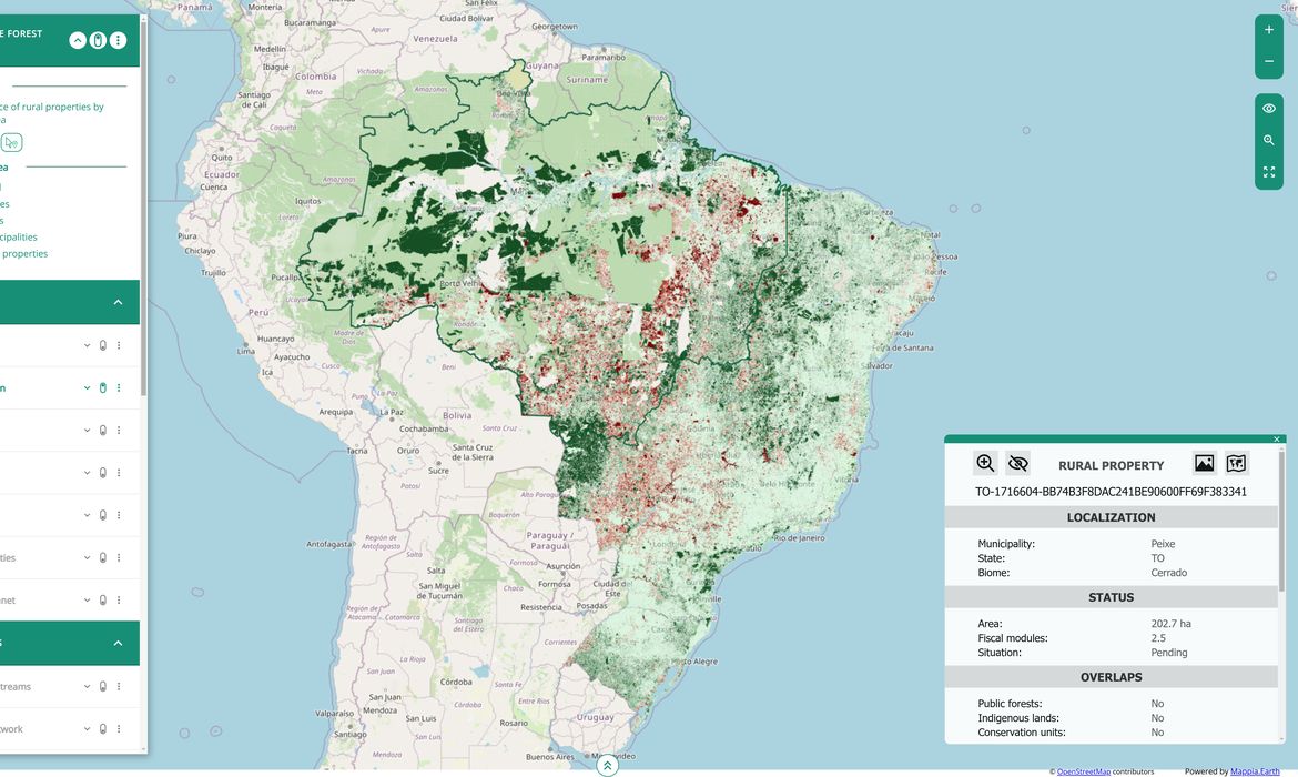 Brasília (DF), 05/12/2024 - Mapa mostra que o Brasil tem 95 milhões de hectares a espera de ações de restauração e pagamento por serviços ambientais. Foto: UFMG/Divulgação