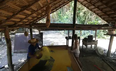 Comunidade Anã - Em uma oficina, Maria Lucidalva Godinho produz farinha e cria abelhas, porcos e peixes (José Cruz /Agência Brasil) 