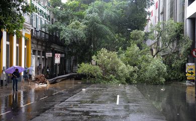  Fortes chuvas e ventos causam transtornos no centro do Rio de Janeiro. A cidade entrou em Estágio de Atenção às 11h50 devido à chuva. 