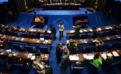 Brasília - Sessão no Plenário do Senado, destinada à discussão e votação de emendas (Fabio Rodrigues Pozzebom/Agência Brasil)