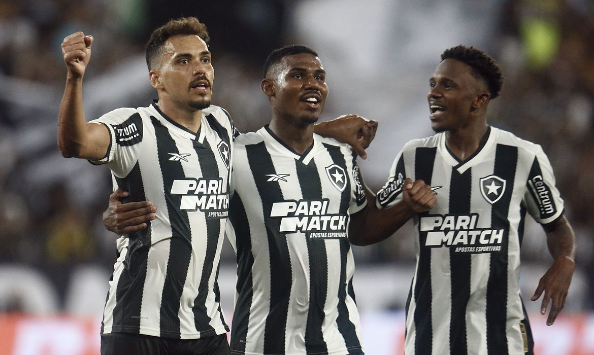 botafogo, vitória, copa do brasil