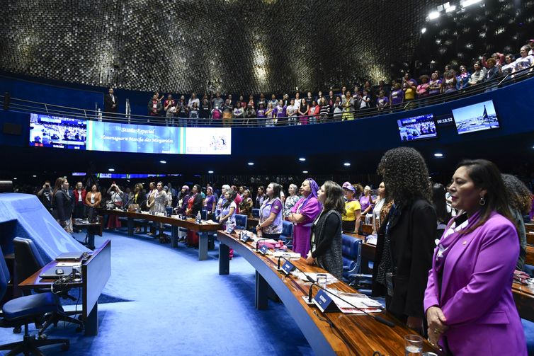 Roque de Sá/Agência Senado Plenário do Senado Federal durante sessão especial para homenagear a Marcha das Margaridas. Foto: Roque de Sá/Agência Senado
O movimento, que surgiu no ano 2000, reúne mulheres trabalhadoras rurais do campo e da floresta em busca de visibilidade, reconhecimento social e