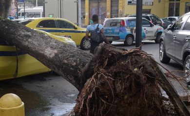 Rio de Janeiro - Árvore cai sobre carro, no centro, após forte temporal que atingiu a capital fluminense na madrugada (Tomaz Silva/Agência Brasil)