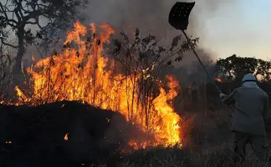 Incêndios florestais no DF