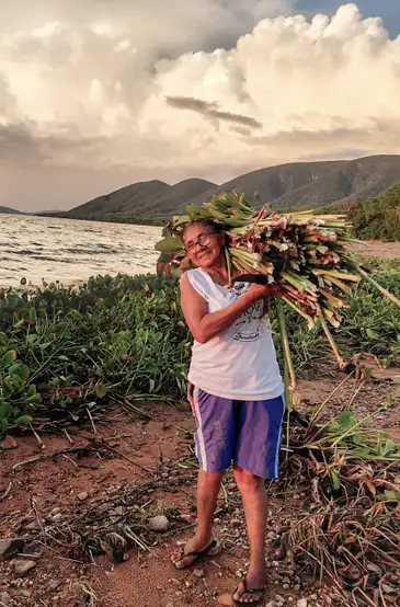 São Paulo (SP), 12/11/2025  novo relatório do MapBiomas revela bioma reconfigurado em 40 anos. Foto: Eliane/Arquivo pessoal