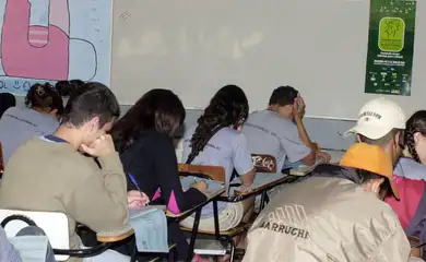 pesquisa do ibge                               