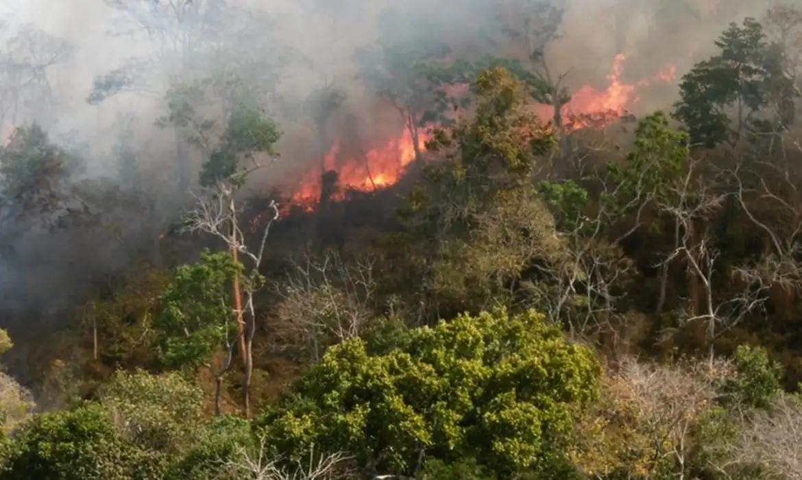 Incêndios atingem também terras da aldeia indígena Bacurizinho, no Maranhão.