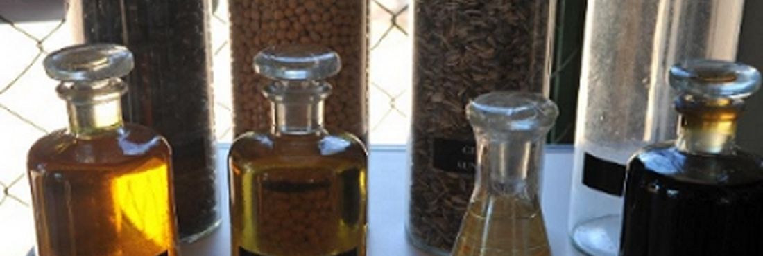 Embrapa mostra, na 7ª Exposição Ciência para a Vida, realizada em 2010, tecnologia para produção de biocombustível a partir de oleaginosas como a mamona, soja, o girassol e o algodão.