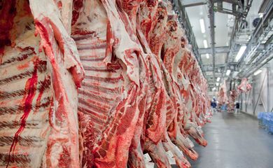 Estados Unidos suspendem importações de carne fresca brasileira