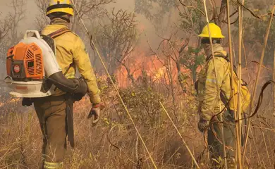 Brasília (DF), 19/09/2024 - Brigadistas do ICMBio tentam conter área queimada durante incêndio no Parque Nacional de Brasília. Foto: ICMBio/Divulgação