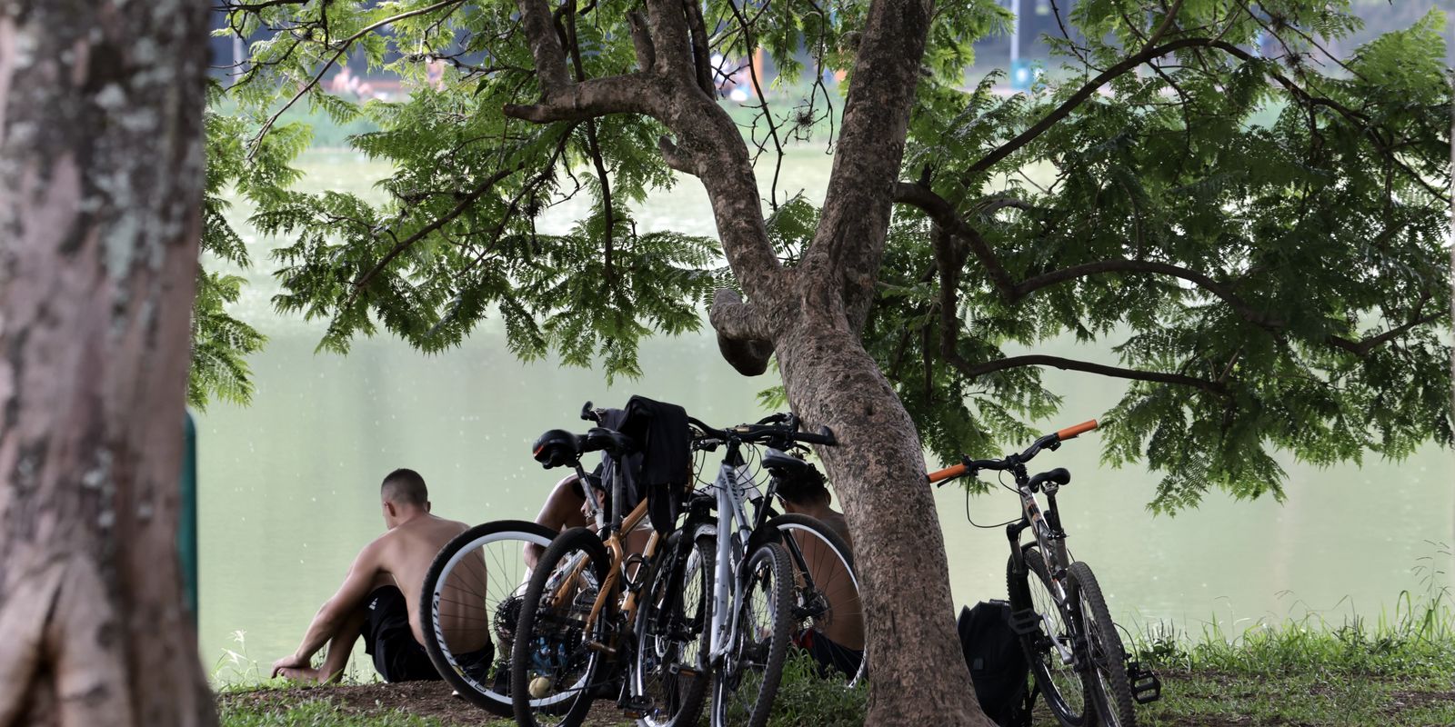 Temperaturas sobem em São Paulo a partir de quarta-feira