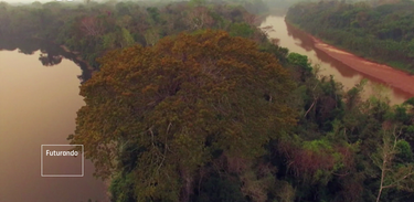 Futurando alerta: Amazônia peruana em perigo!